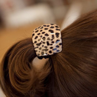 Leopard Print Hair Ropes 