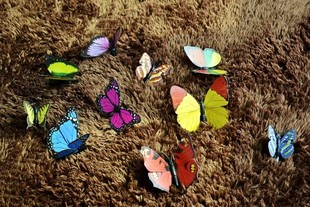 Butterfly (Assorted Sizes And Colors)