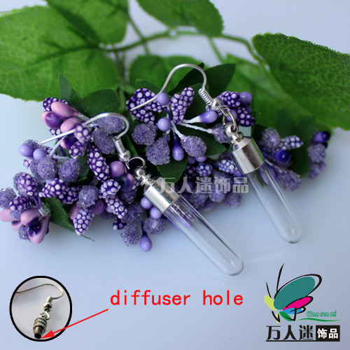 Perfume Earrings(Sold in Per Pairs,6MM Round Bottom Tube,With Diffuser Hole)