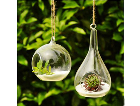 60MM 80MM 100MM 120MM Fashion Transparent Hanging Glass Vase 