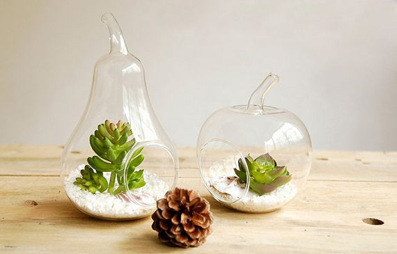 10x10CM 15x10CM Glass Globe Planter Vase