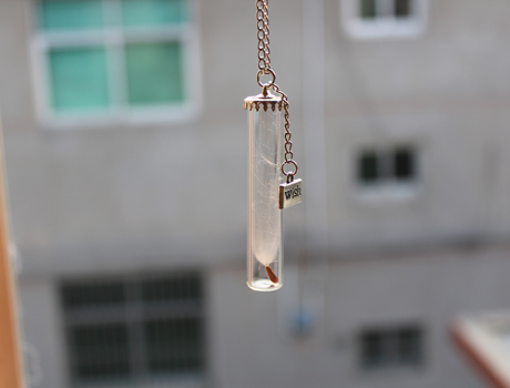 60X12MM Natural history specimen in a clear jar necklace