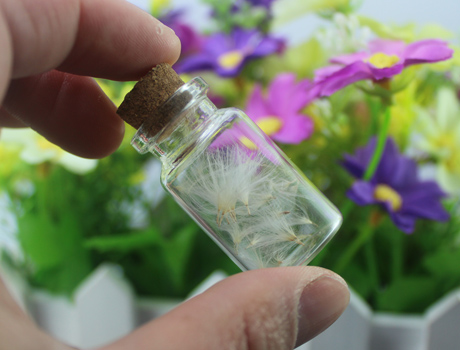 Glass jar with MINI dandelion seeds(Sold in per package of 20pcs)