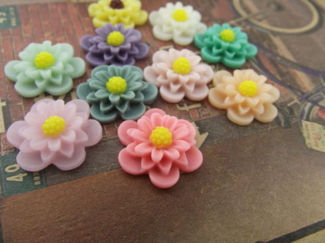 19MM Resin Flower Cabochons of Assorted Colour HS311