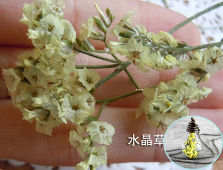 Real dry lovers' flower(Sold in per package)