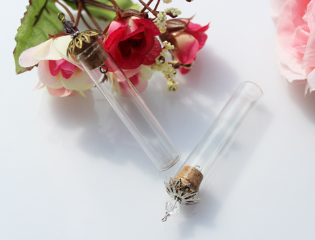 60x12MM Glass Tube With Metal Corks