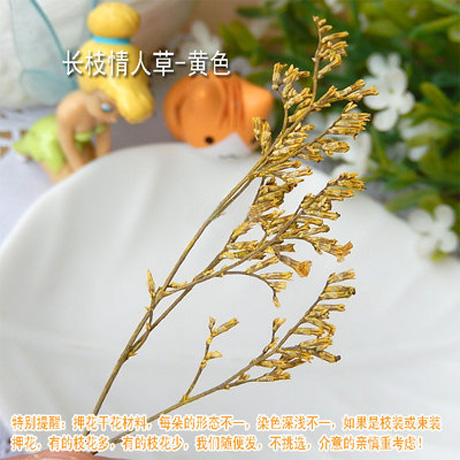 Real dried Pressed Flowers(Sold in per package of 20pcs)