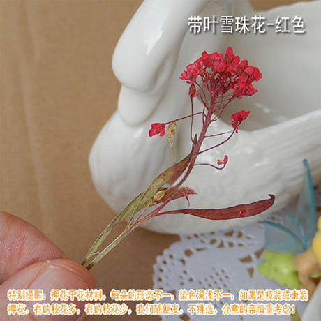 Real dried Pressed Flowers(Sold in per package of 20pcs)