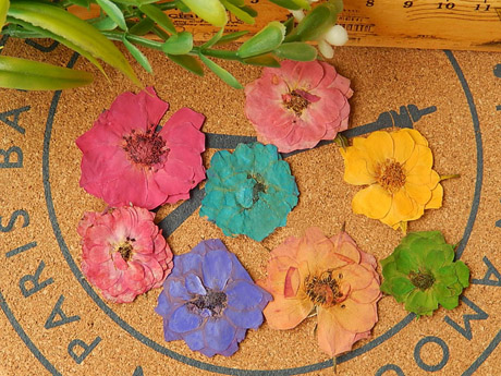 Real dried Rose Pressed flowers(Sold in per package of 20pcs)