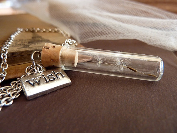 Dandelion seeds in glass tube vial