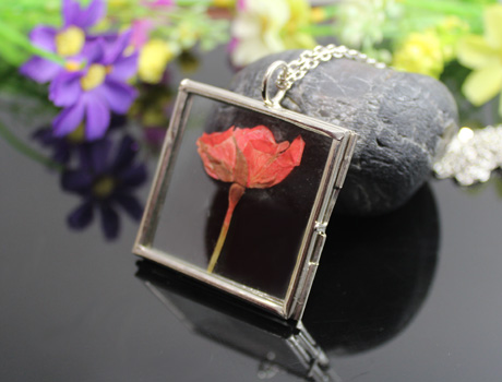 Glass Lockets Necklace with Real Rose inside