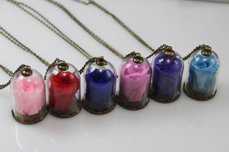 38x25MM Preserved Fresh Flower Glass Cover Necklace