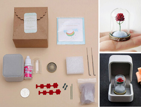Little Prince Rose DIY Material Package